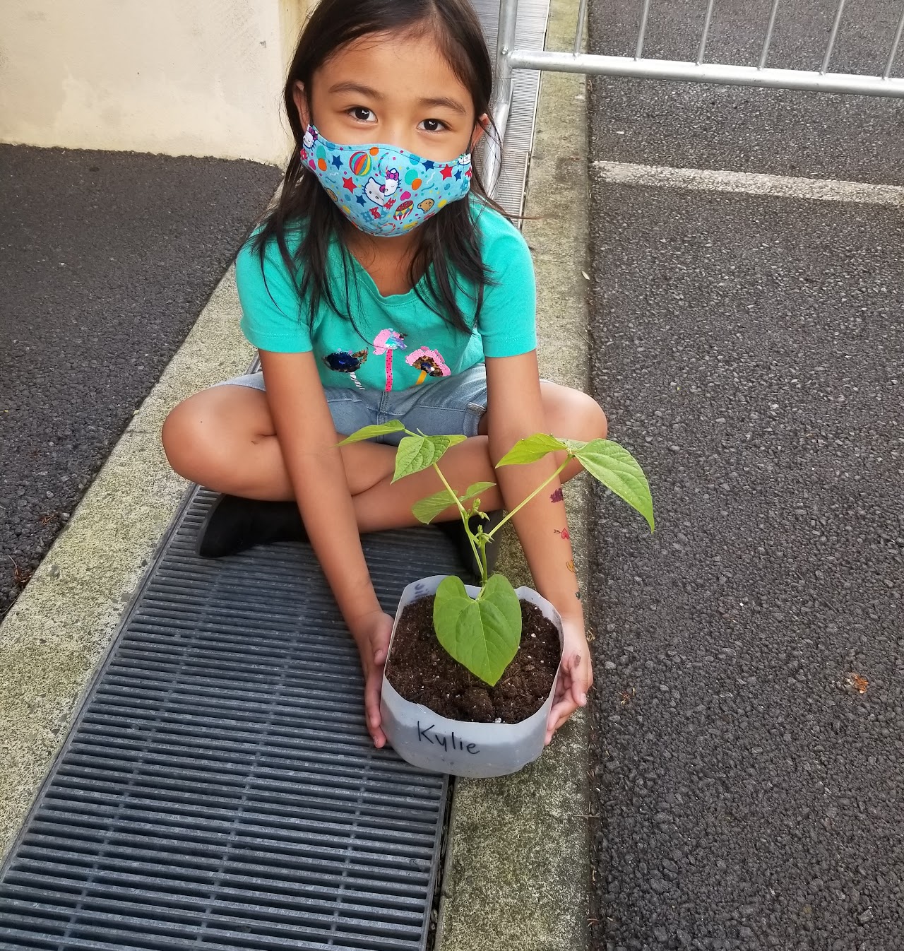 Student with final planting