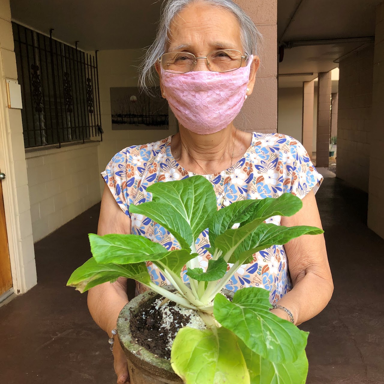 Senior citizen with final plant