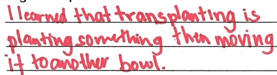 Student writing, "I learned that transplanting is planting something then moving it to another bowl"