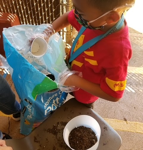 Student scooping soil