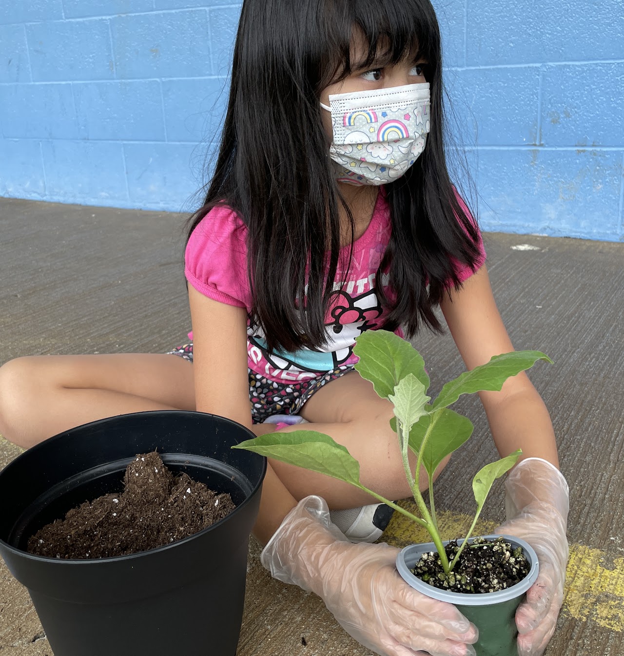 Student tranplanting seedling
