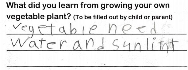Student writing, "vegetable need water and sunlight"
