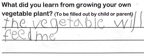 Student writing, "the vegetable will feed me"