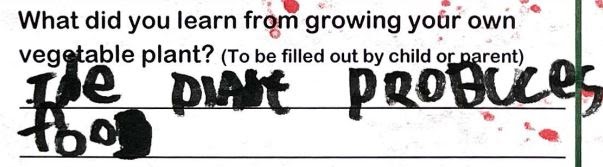 Student writing, "the plant produces food"