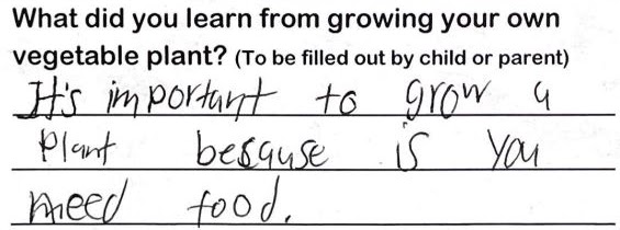 Student writing, "It's important to grow a plant because is you need food"