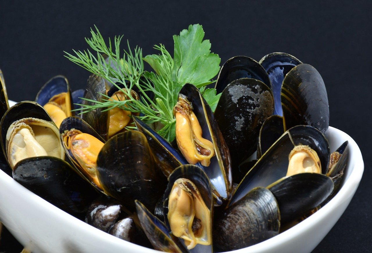 cooked mussels in a bowl