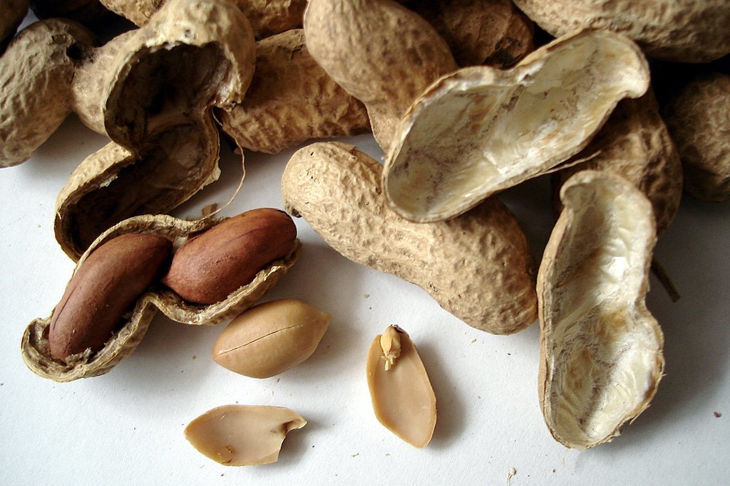 peanuts, shelled and unshelled