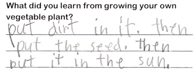 Student writing "Put dirt in it. Then put the seed. Then put it in the sun."