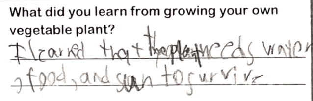 Student writing "I learned that the plant needs water, food, and sun to survive"