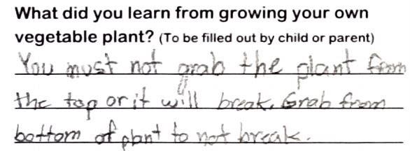 Student writing, "You must not grab the plant from the top or it will break. Grab from bottom of plant to not break."