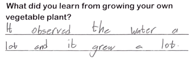 Student writing "I observed the water a lot and it grew a lot"