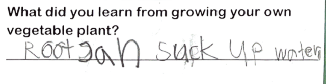Student writing "Roots can suck up water"