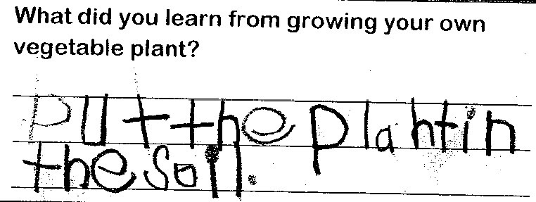 Student writing "put the plant in the soil"