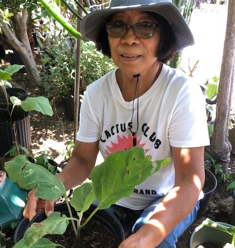 Senior citizen with final planting