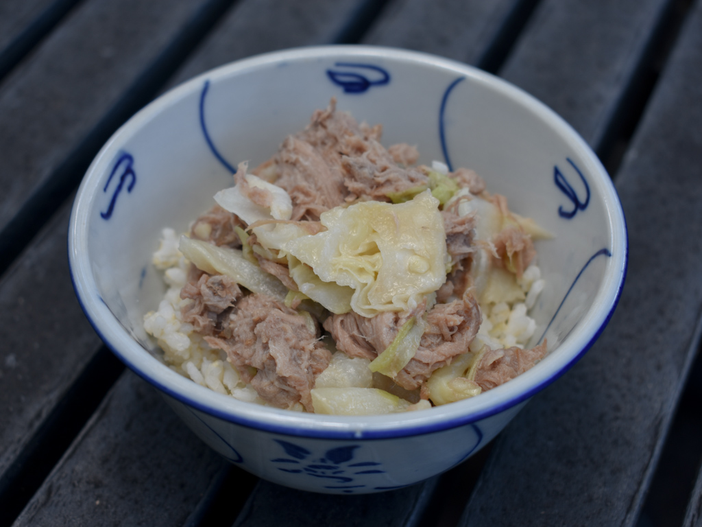 Kalua pork and cabbage in a white and blue bowl
