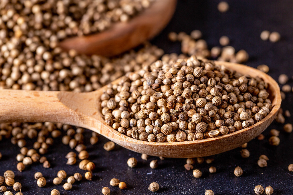 Coriander seeds in wooden spoon