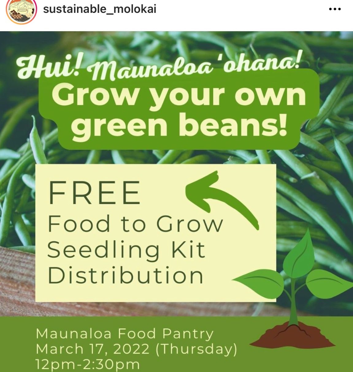 Hui! Maunaloa ohana! Grow your own green beans! Free to Food to Grow Seedling Kit Distribution. Mauna Loa Food Pantry March 17, 2022 (Thursday) 12pm - 2:30pm.