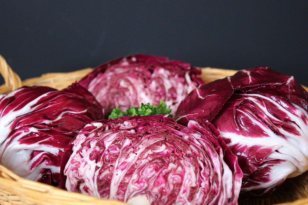 red cabbage, raw