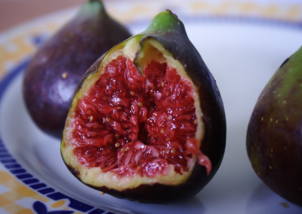 fig, fresh, fruit