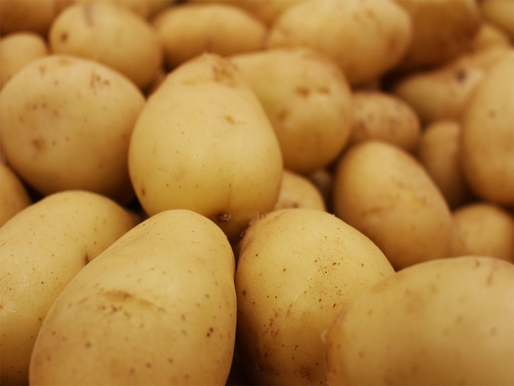 potato, raw potato, golden potato, potatoes