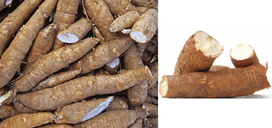 First image top view of pile of cassava tubers, second image several broken cassava tubers showing the white inside