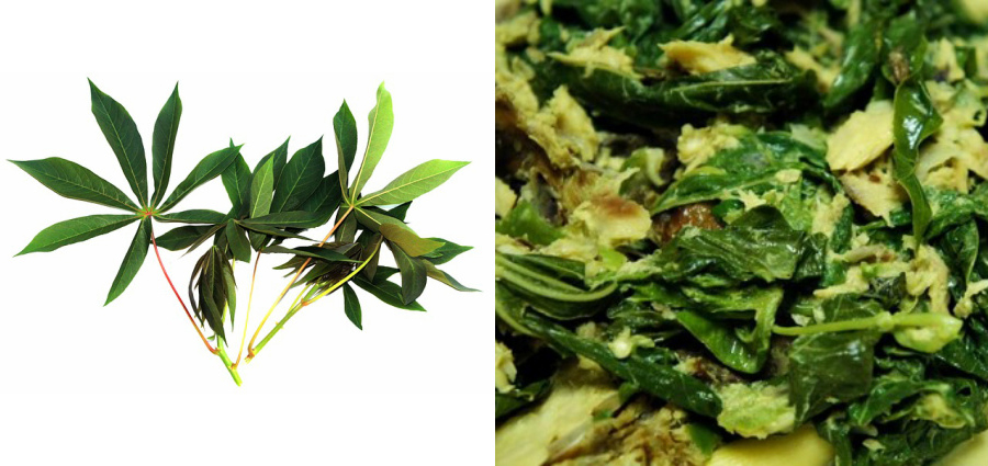 First image a group of cassava leaves on white background, second image close up of cassava leaves cooked into a dish
