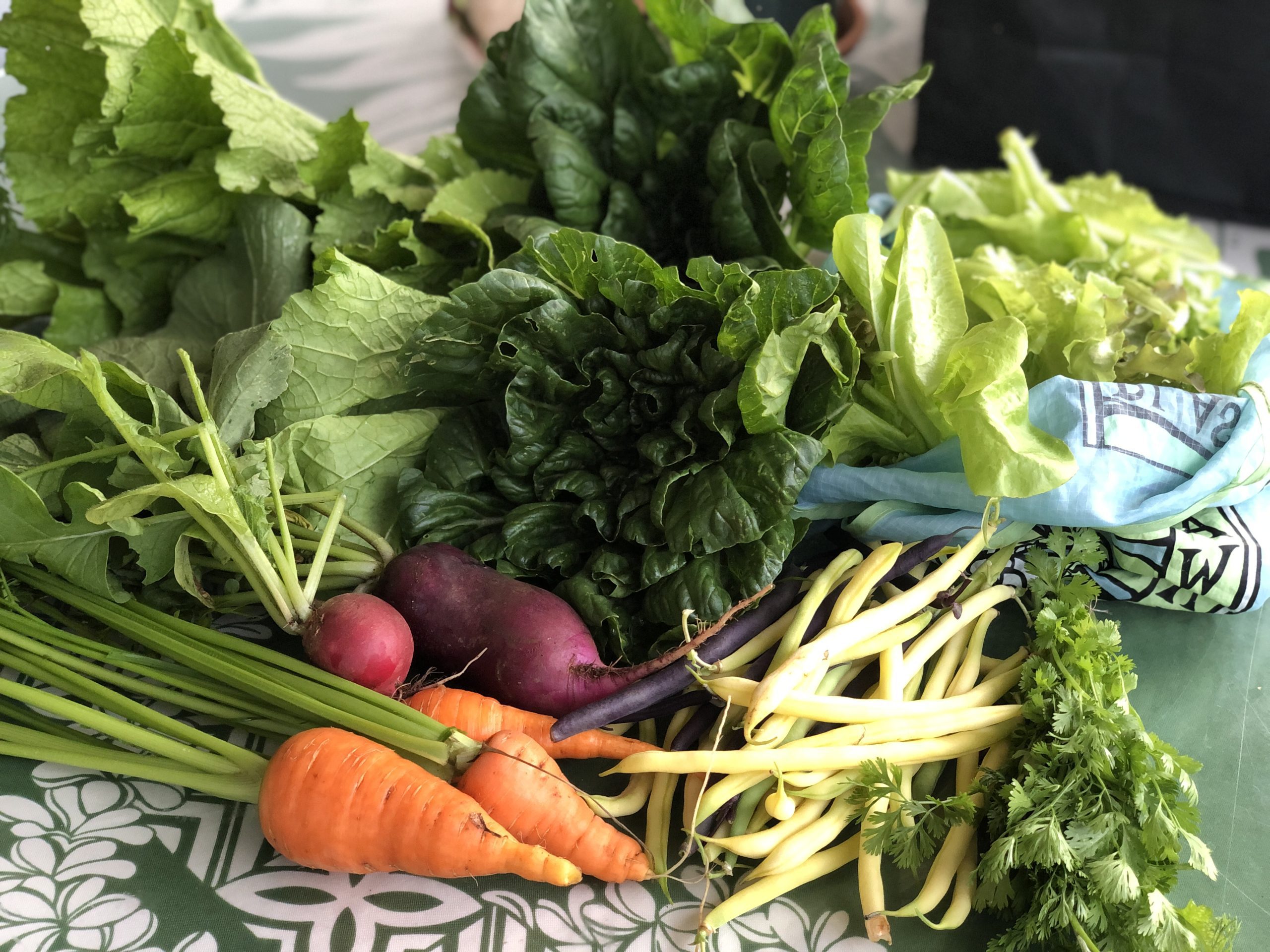 variety of fresh vegetables including carrots, beets, bokchoy, choysum, lettuce, string beans, and cilantro