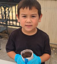 Student planting seeds