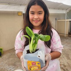 Child posing with transplanted bok choy seedling