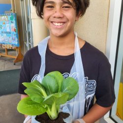 Child posing with transplanted bok choy seedling