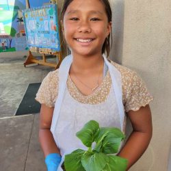 Child posing with transplanted bok choy seedling