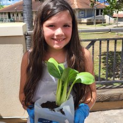 Child posing with transplanted bok choy seedling