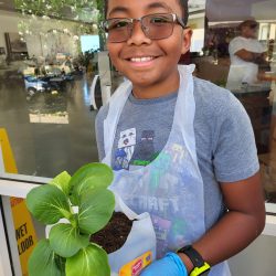 Child posing with transplanted bok choy seedling