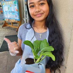 Child posing with transplanted bok choy seedling