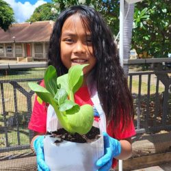 Child posing with transplanted bok choy seedling