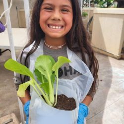 Child posing with transplanted bok choy seedling