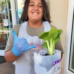 Child posing with transplanted bok choy seedling