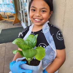 Child posing with transplanted bok choy seedling