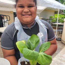 Child posing with transplanted bok choy seedling