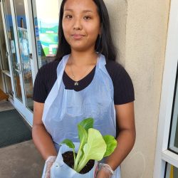 Child posing with transplanted bok choy seedling