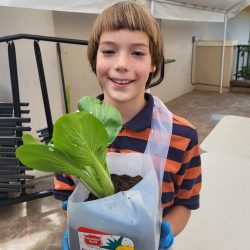 Child posing with transplanted bok choy seedling