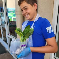 Child posing with transplanted bok choy seedling