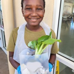 Child posing with transplanted bok choy seedling