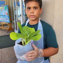 Child posing with transplanted bok choy seedling