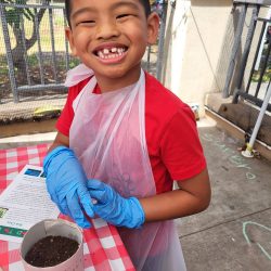 Child posing with newspaper pot with bok choy seeds planted