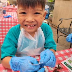 Child posing with newspaper pot with bok choy seeds planted