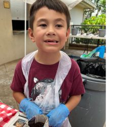 Child posing with newspaper pot with bok choy seeds planted