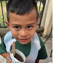 Child posing with newspaper pot with bok choy seeds planted