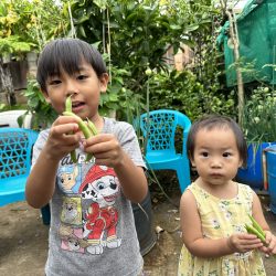 Siblings posing with green beans harvested from plants grown from seeds.