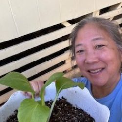 Participant with transplanted bok choy